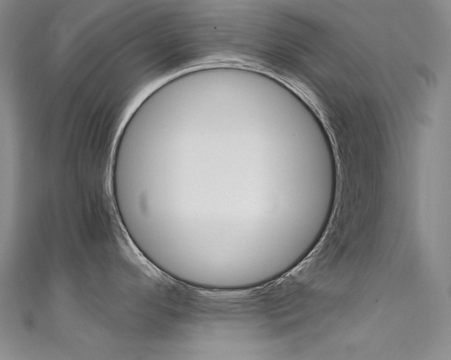 X0000111491296200907141055