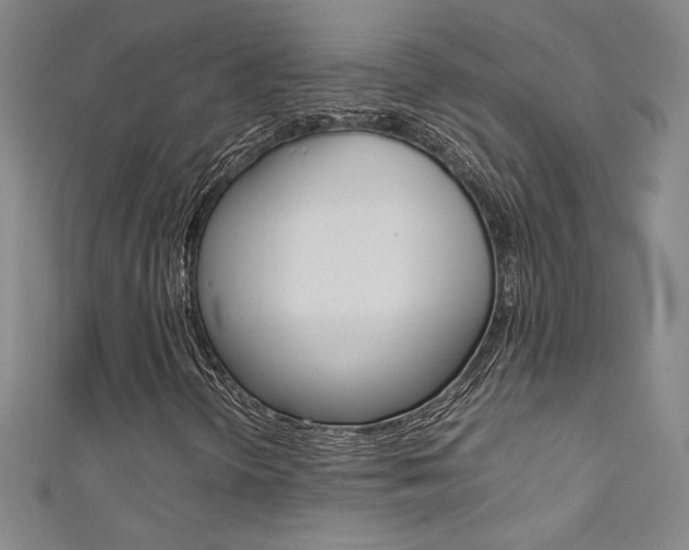 X0000111491298200907141055