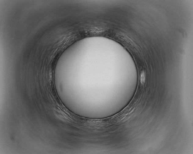 X0000111491299200907141055