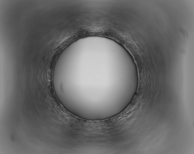 X0000111491301200907141055