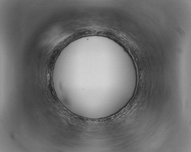 X0000111491302200907141055