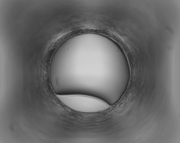 X0000111491303200907141055