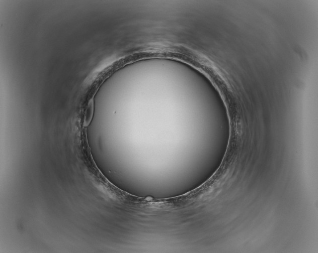 X0000111491304200907141055