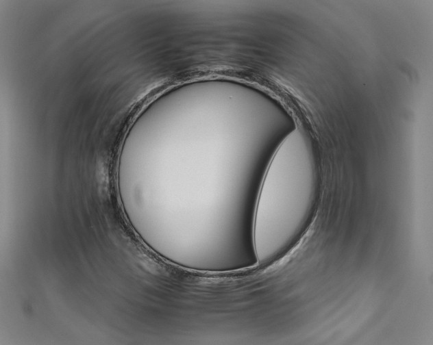 X0000111491305200907141055