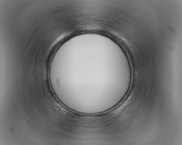 X0000111491306200907141055