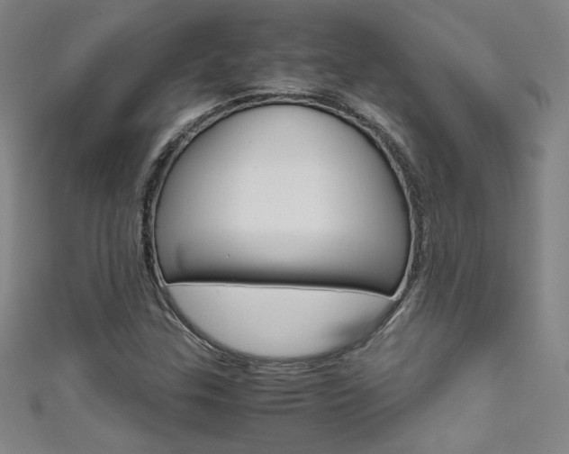 X0000111491307200907141055