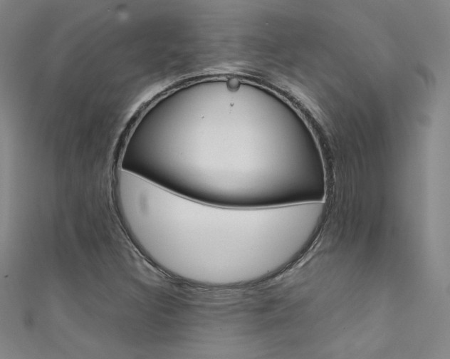 X0000111491308200907141055
