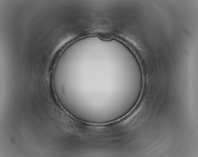 X0000111491309200907141055