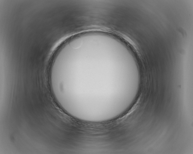X0000111491310200907141055