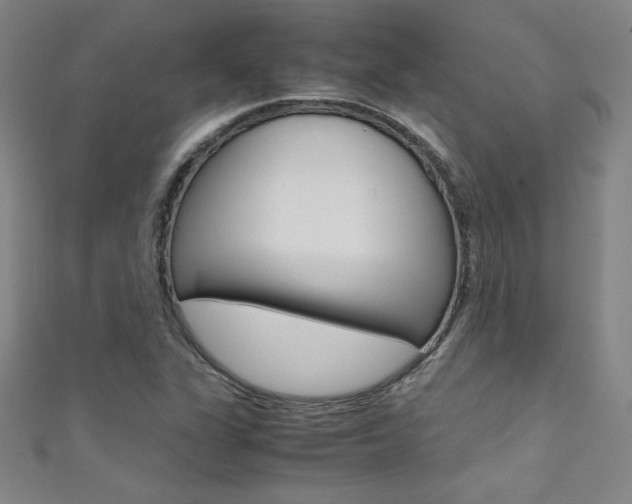 X0000111491311200907141055