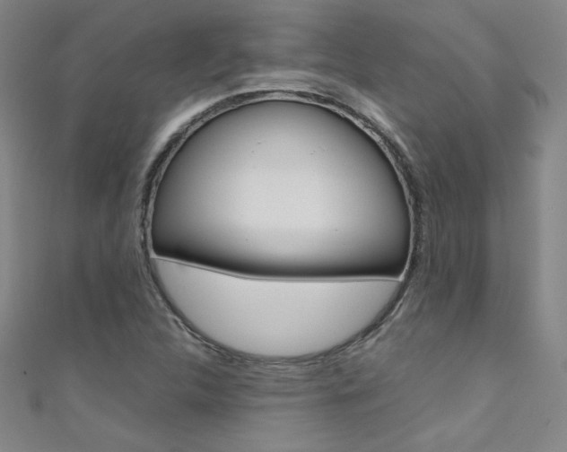 X0000111491312200907141055