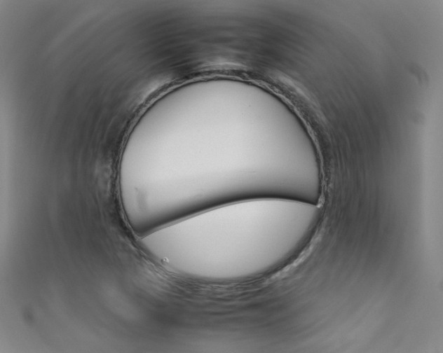 X0000111491313200907141055