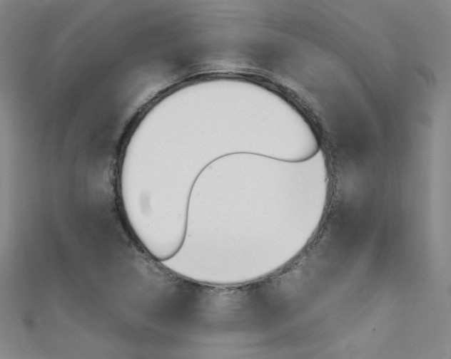 X0000111491314200907141055