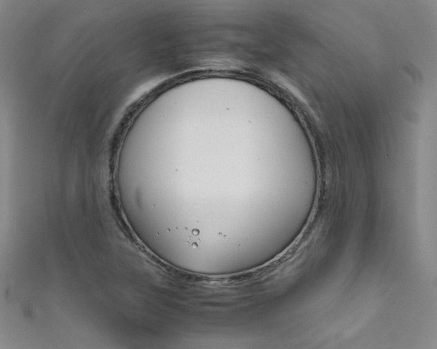 X0000111491315200907141055