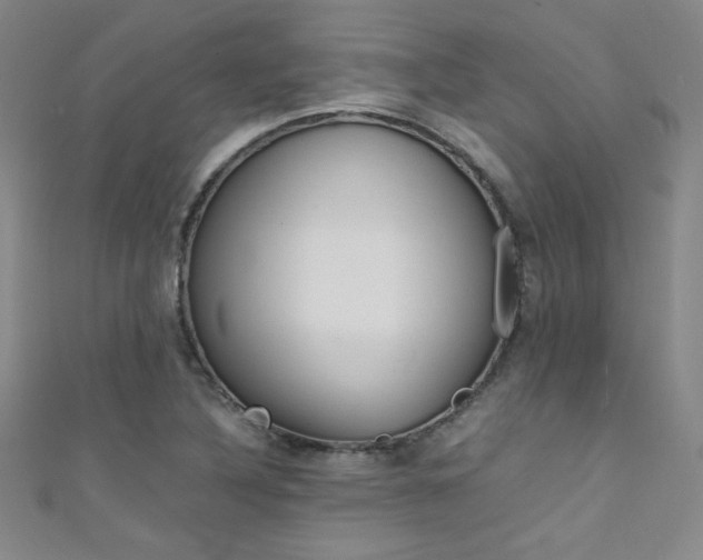X0000111491316200907141055