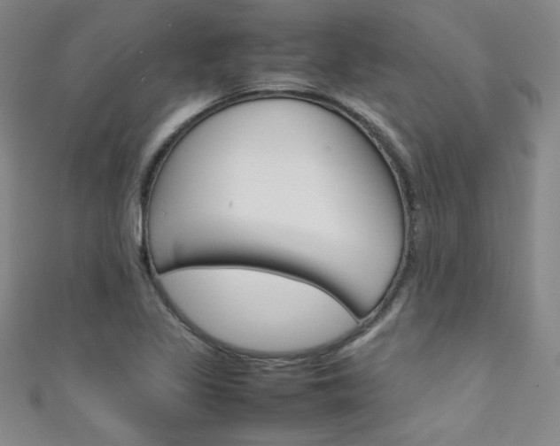 X0000111491317200907141055
