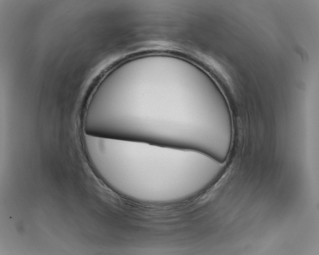 X0000111491318200907141055