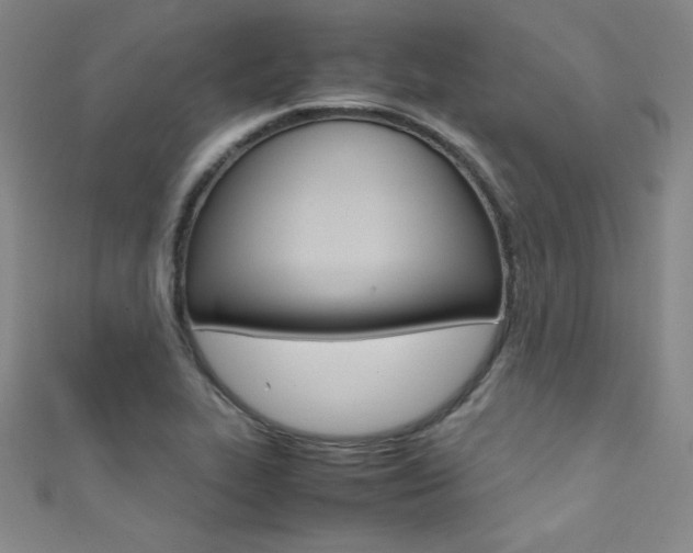 X0000111491319200907141055