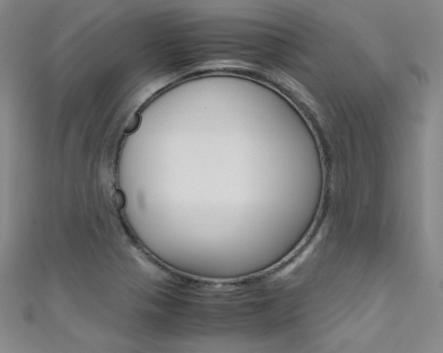 X0000111491321200907141055