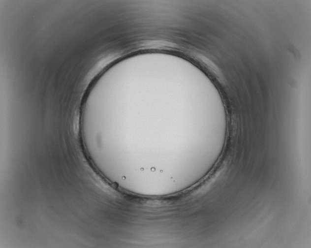 X0000111491322200907141055