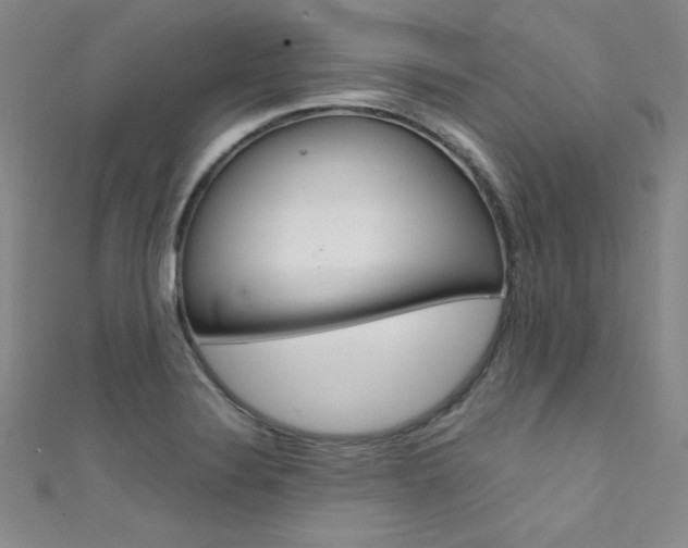 X0000111491324200907141055