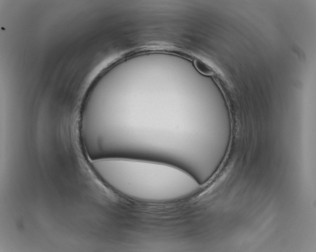 X0000111491325200907141055