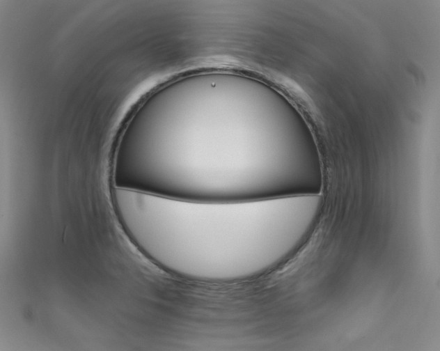 X0000111491326200907141055