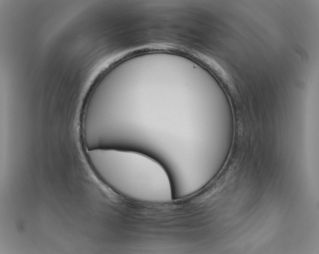 X0000111491327200907141055