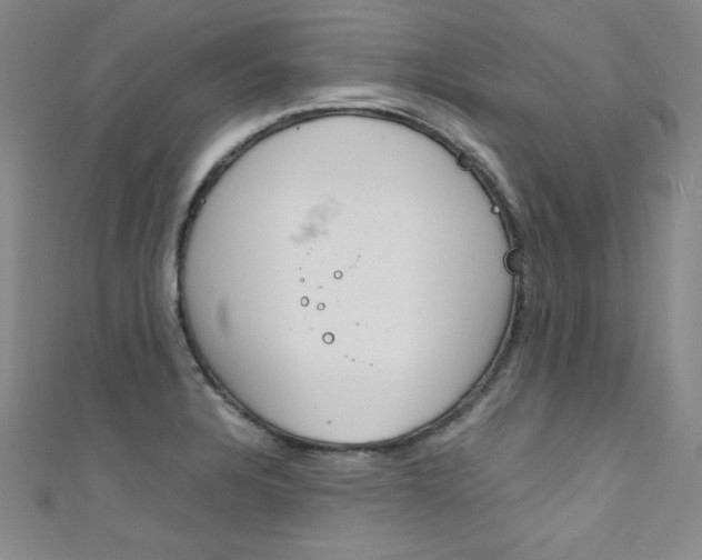 X0000111491328200907141055
