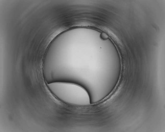 X0000111491329200907141055
