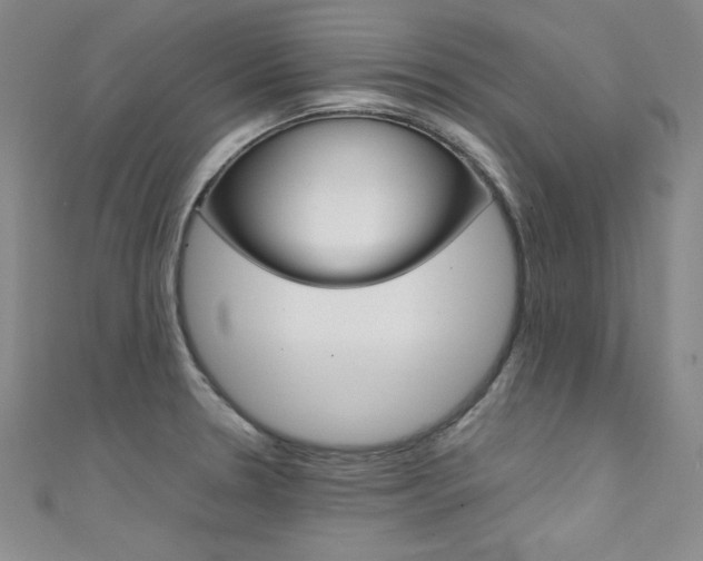 X0000111491330200907141055