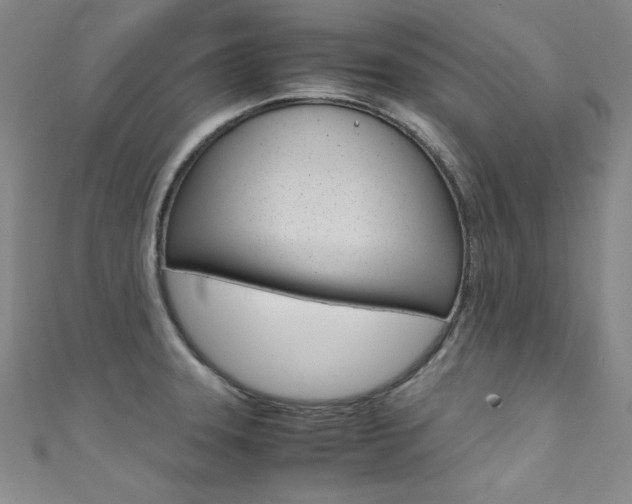X0000111491331200907141055