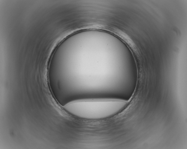 X0000111491332200907141055