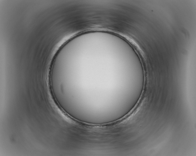 X0000111491333200907141055