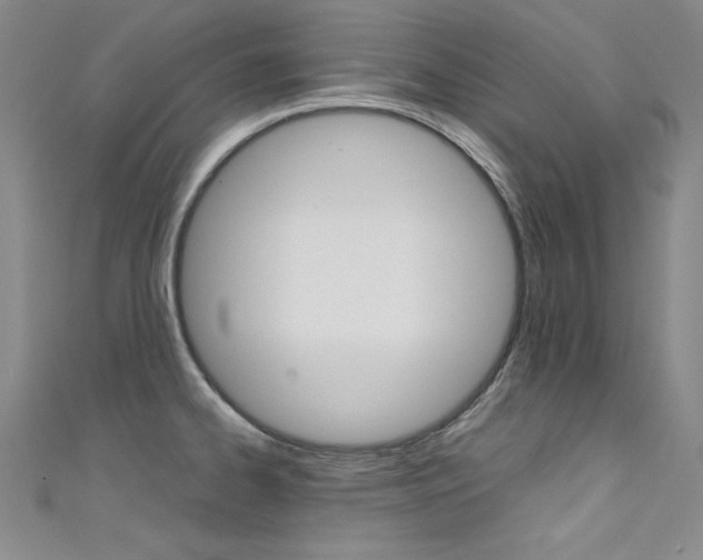 X0000111491334200907141055