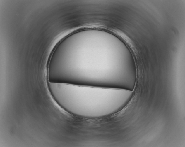 X0000111491335200907141055