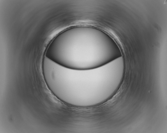 X0000111491336200907141055