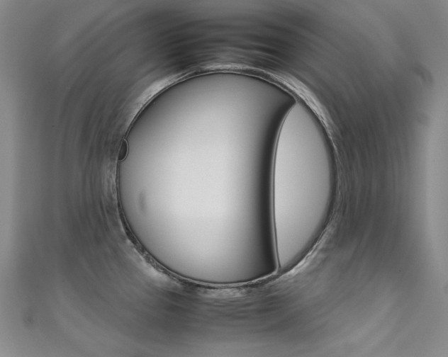 X0000111491337200907141055