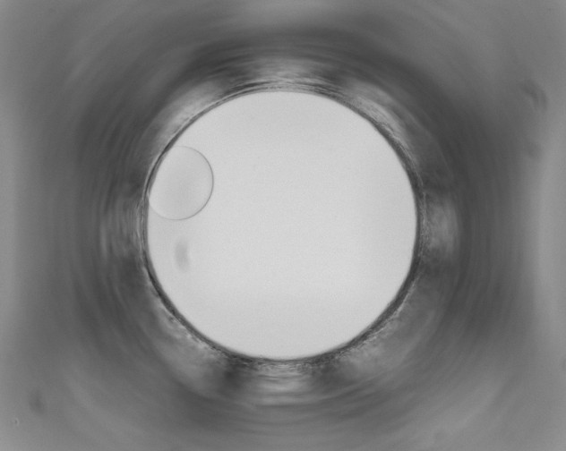 X0000111491338200907141055