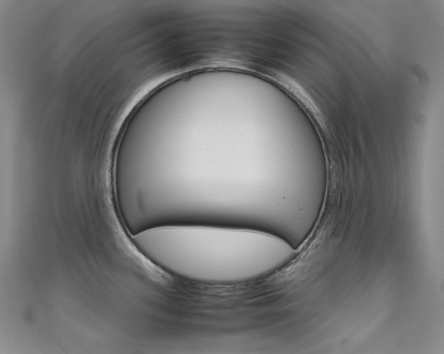 X0000111491339200907141055