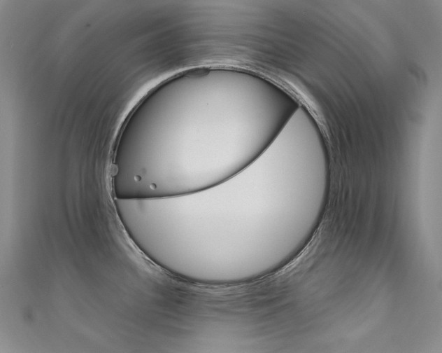 X0000111491340200907141055