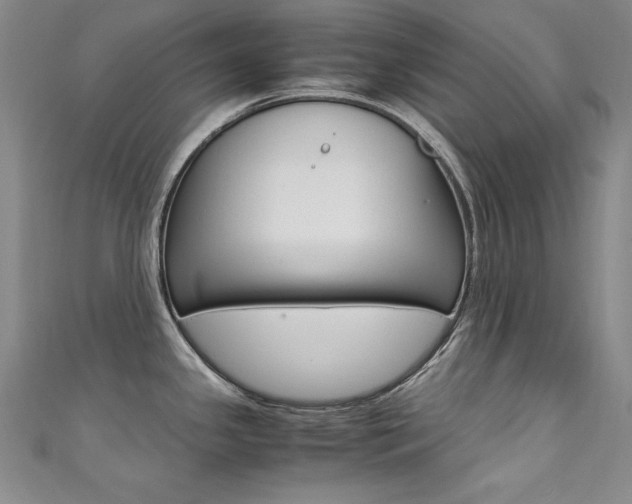 X0000111491341200907141055