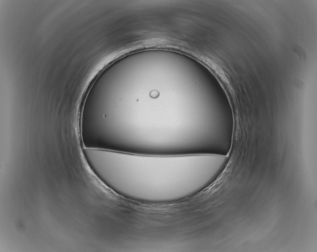 X0000111491342200907141055