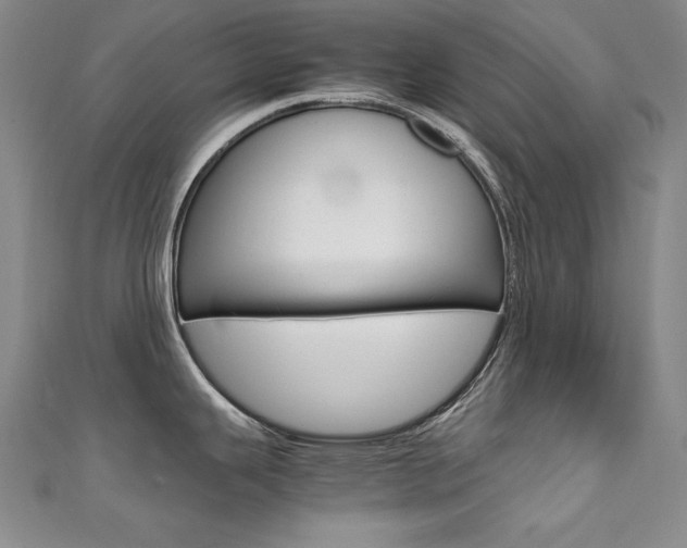 X0000111491343200907141055