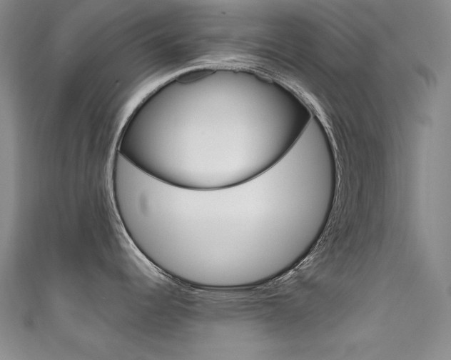 X0000111491344200907141055