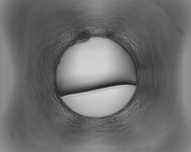 X0000111491345200907141055