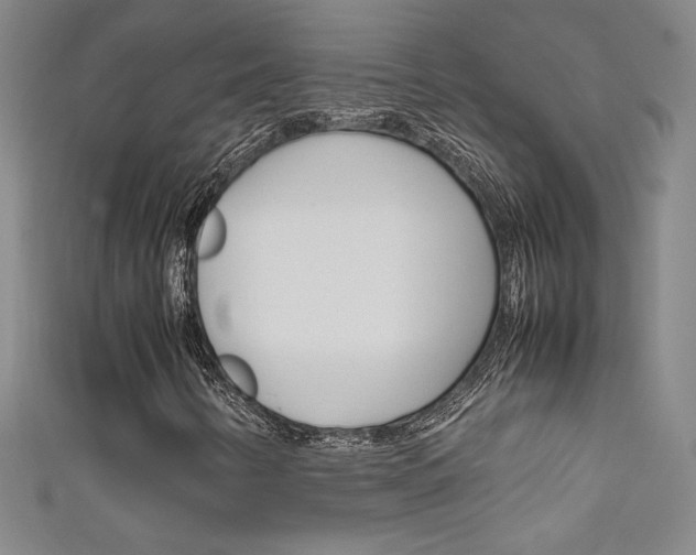 X0000111491346200907141055