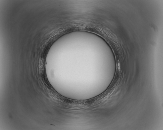 X0000111491347200907141055