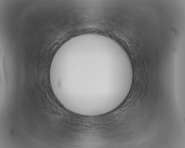 X0000111491349200907141055