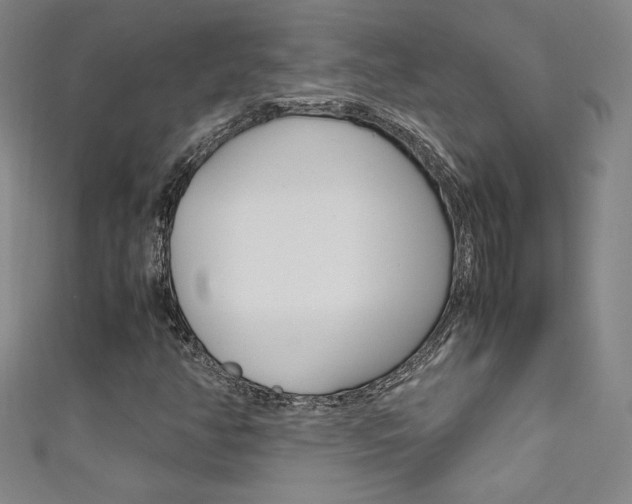 X0000111491350200907141055